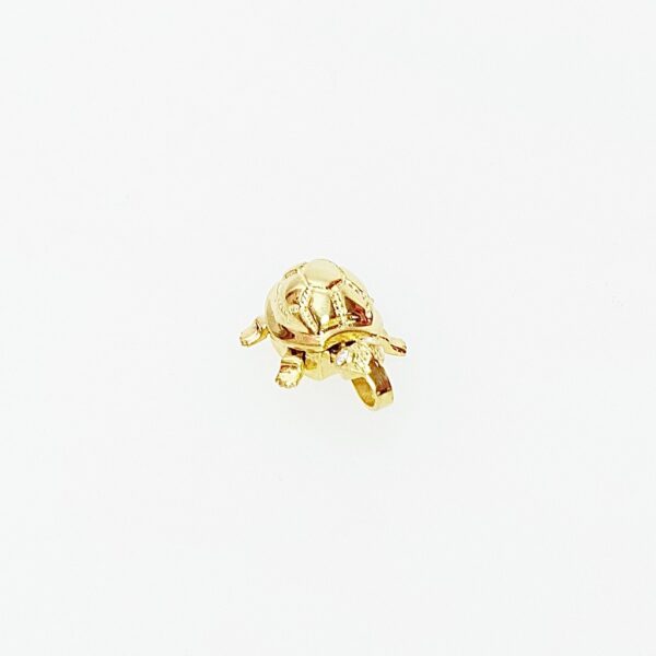 TURTLE golden